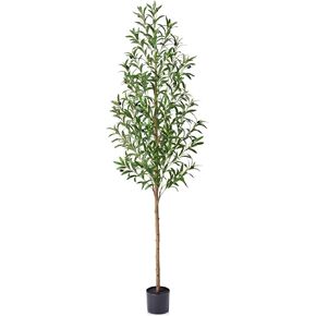 6FT Artificial Olive Tree Indoor – Real Wood Trunk Tall Faux Olive Tree, Large Fake Potted Plant for Home Decor Living Room& Office Decor,VN245 in Kuwait
