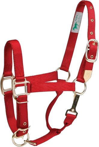 Hamilton 1-Inch Nylon Halter with Adjustable Chin, Red - Average Size in Saudi Arabia