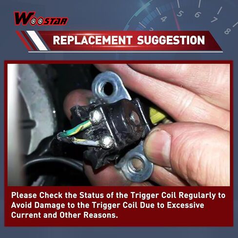 WOOSTAR Stator Trigger Pickup Coil Ignitor Replacement for 445 FD620D Motorcycle OEM AM118220 in Saudi Arabia