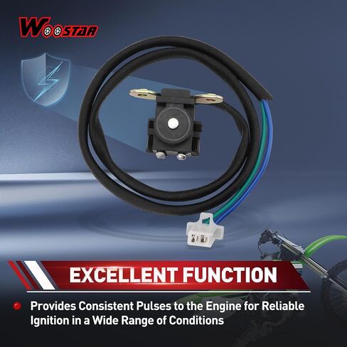 WOOSTAR Stator Trigger Pickup Coil Ignitor Replacement for 445 FD620D Motorcycle OEM AM118220 in Saudi Arabia