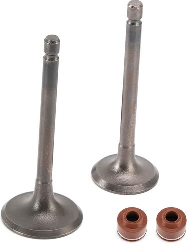 مجموعة صمامات السحب والعادم لرأس الأسطوانة مناسبة لياماها YBR 125 TT-R 125 XT 125 YFA1 YFM 125 #5VL-E2111-00-00, 5VLE21110000,5HH-E2121-00-00,5HHE21210000 in Saudi Arabia