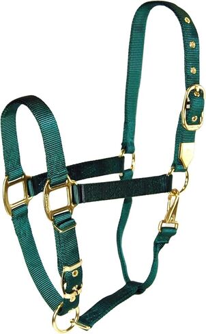 Hamilton 1-Inch Nylon Halter with Adjustable Chin, Dark Green, Large Size 1100 to 1600-Pound in Saudi Arabia