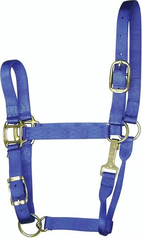 Hamilton Adjustable Quality 3/4-Inch Weanling Halter with Snap, 200 to 300-Pound Horse, Dark Green in Saudi Arabia
