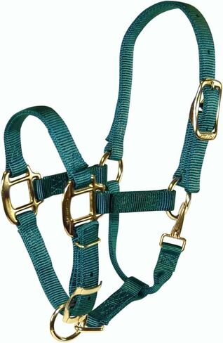 Hamilton Adjustable Quality 3/4-Inch Weanling Halter with Snap, 200 to 300-Pound Horse, Dark Green in Kuwait