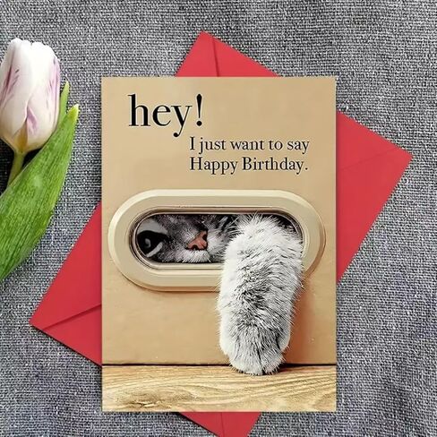 Happy Birthday Greeting Card Featuring Peeking Cat, Hey! I Just Want to Say Happy Birthday Humorous Animal Theme Card with Envelope, Unique Keepsake Gift for Cat Lovers in Saudi Arabia