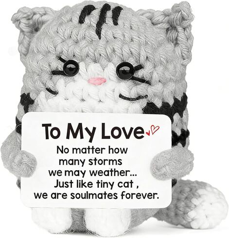 إيجابية الكروشيه القط عيد الميلاد هدايا عيد الميلاد للنساء الرجال ابنة ابن العم العمة العودة إلى المدرسة صديق زميل العمل مكتب ديكور المنزل الخريف الدعم العاطفي الملهم فكرة هدية الحيوانات الكروشيه in Kuwait