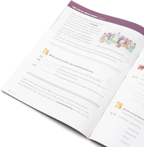 مجموعة LIFEPAC المكونة من 5 موضوعات للصف الثالث منهج المدرسة المنزلية - تعلم الإتقان القائم على الكتاب المقدس، نص عمل مع الدروس والأنشطة والاختبارات in Kuwait