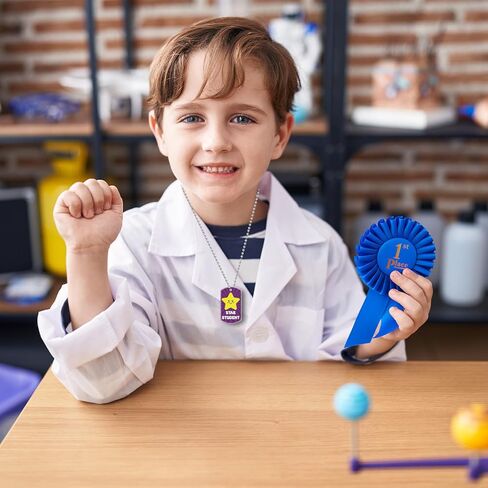 30 PCS Student Incentives Star Tags 2 x 1.1 Inches Acrylic Star Student Dog Tag with Metal Chains Recognition Tag Student Award Tags for School Classroom Reward Teacher Supplies in Kuwait