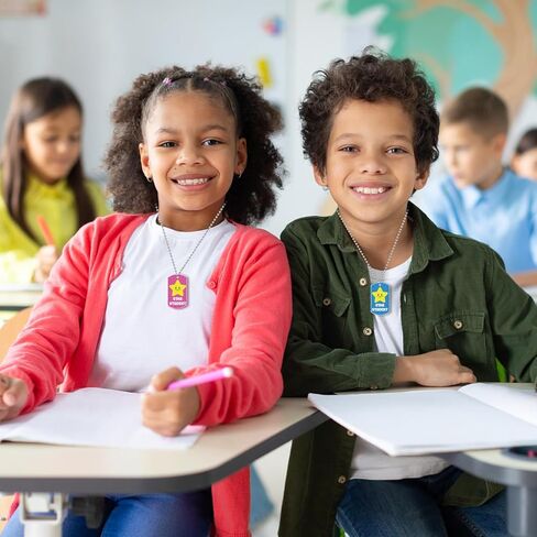 30 PCS Student Incentives Star Tags 2 x 1.1 Inches Acrylic Star Student Dog Tag with Metal Chains Recognition Tag Student Award Tags for School Classroom Reward Teacher Supplies in Kuwait