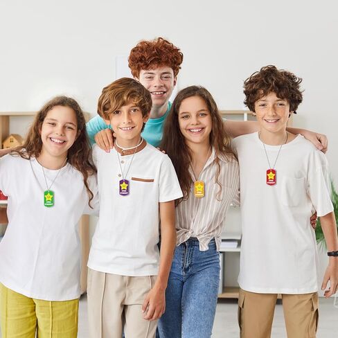 30 PCS Student Incentives Star Tags 2 x 1.1 Inches Acrylic Star Student Dog Tag with Metal Chains Recognition Tag Student Award Tags for School Classroom Reward Teacher Supplies in Kuwait