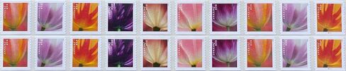 USPS 2023 Tulip Blossom Forever First Class Postage Stamps (20 Count) in Kuwait