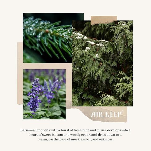 Airkeep Reed Diffuser، مجموعة ناشر عطور منزلية من البلسم والتنوب، 6.76 أونصة سائلة، تتضمن 8 أعواد ناشرة للقصب، ناشر زيت عطري - ناشر للعلاج العطري، ديكور مكتب غرفة النوم والمنزل وهدية in Kuwait