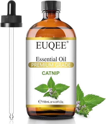 زيت الغردينيا العطري من EUQEE 118 مل زيت الغردينيا النقي زيت عطري ممتاز مع قطارة زجاجية رائعة للناشر والصابون DIY وصناعة الشموع - 4 أونصة سائلة. أوقية in Saudi Arabia