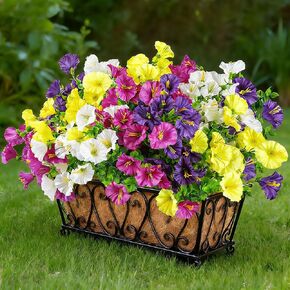 دير روز 12 حزم زهور البتونيا الاصطناعية للخارجية مقاومة للأشعة فوق البنفسجية الربيع وهمية زهور مجد الصباح مع أزهار البوق لنافذة صندوق زارع حشو الشرفة فناء سياج ديكور in Kuwait