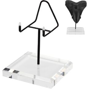 1 Pcs Megalodon Shark Tooth Display Stand, Clear Acrylic Shark Tooth Holder Display Easel Holder for Slab Slice Fossil Rock Gemstones Crystals and Minerals, 3.9 x 3.5 x 6.5'' Black in Saudi Arabia