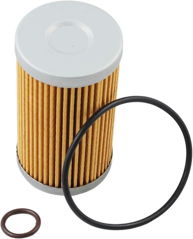 87300041 Fuel Filter with O-Rings 84477366 SBA130366060 for New Holland Compact Tractor 1900 1910 1920 2110 TC35 TC40 TC45 Boomers 8N WorkMaster 55 Loader 250TLA Backhoe 1103, for Case IH Farmall 40B in Kuwait