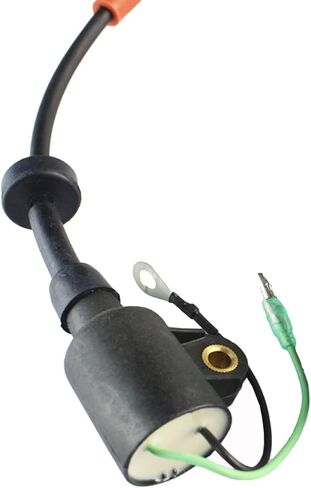 63V-85570-00 61N-85570-10 ملف الإشعال لياماها 9.9HP 15 20 25 30 40 50 150 200 225 250 HP محرك خارجي ثنائي الأشواط يستبدل سييرا مارين 18-5113 in Saudi Arabia
