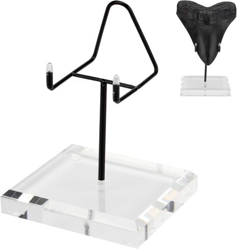 1 Pcs Megalodon Shark Tooth Display Stand, Clear Acrylic Shark Tooth Holder Display Easel Holder for Slab Slice Fossil Rock Gemstones Crystals and Minerals, 3.9 x 3.5 x 6.5'' Black in Saudi Arabia
