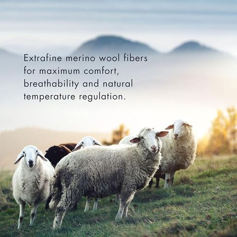 Marcoliani Milano Mens Dress Socks - Rainbow Stripe Fullcolor | Essence of Merino Wool in Kuwait