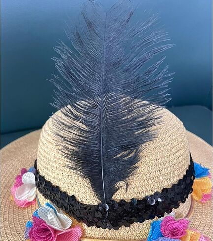 عصابة رأس فلابر للنساء من العشرينيات من القرن العشرين، أغطية رأس من الريش لحفلات غاتسبي، عصابة رأس من الريش لحفلات الهالوين in Kuwait