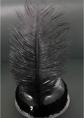 عصابة رأس فلابر للنساء من العشرينيات من القرن العشرين، أغطية رأس من الريش لحفلات غاتسبي، عصابة رأس من الريش لحفلات الهالوين in Kuwait