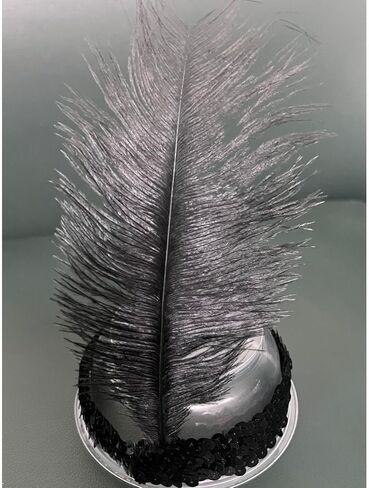 عصابة رأس فلابر للنساء من العشرينيات من القرن العشرين، أغطية رأس من الريش لحفلات غاتسبي، عصابة رأس من الريش لحفلات الهالوين in Kuwait