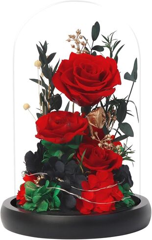 زهور عيد الميلاد الحقيقية إلى الأبد مع مصابيح LED، ورود أبدية محفوظة في قبة زجاجية، هدايا لصديقتها (أرجواني) in Kuwait