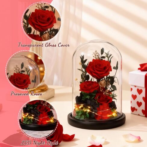 زهور عيد الميلاد الحقيقية إلى الأبد مع مصابيح LED، ورود أبدية محفوظة في قبة زجاجية، هدايا لصديقتها (أرجواني) in Kuwait