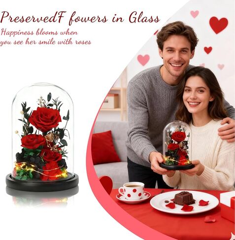 زهور عيد الميلاد الحقيقية إلى الأبد مع مصابيح LED، ورود أبدية محفوظة في قبة زجاجية، هدايا لصديقتها (أرجواني) in Kuwait