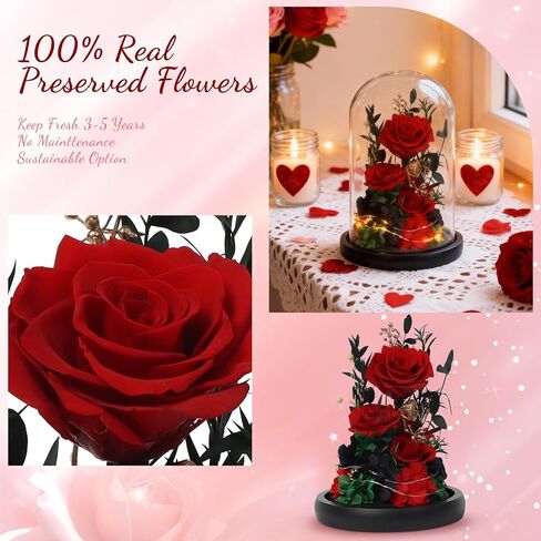 زهور عيد الميلاد الحقيقية إلى الأبد مع مصابيح LED، ورود أبدية محفوظة في قبة زجاجية، هدايا لصديقتها (أرجواني) in Kuwait