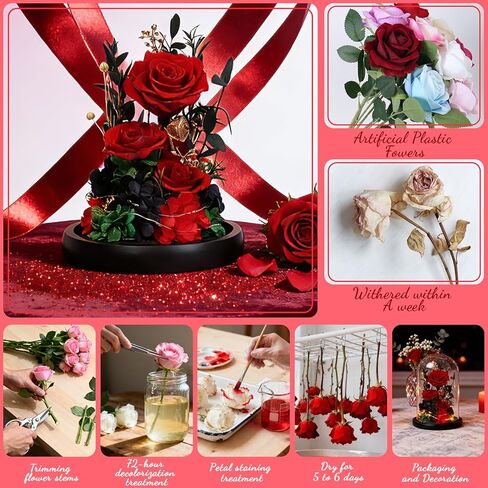 زهور عيد الميلاد الحقيقية إلى الأبد مع مصابيح LED، ورود أبدية محفوظة في قبة زجاجية، هدايا لصديقتها (أرجواني) in Kuwait