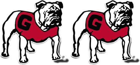 Desert Cactus University of Georgia Bulldogs UGA Dawgs Vinyl Decal Laptop Water Bottle Car Scrapbook Sticker (IND 38) in Kuwait