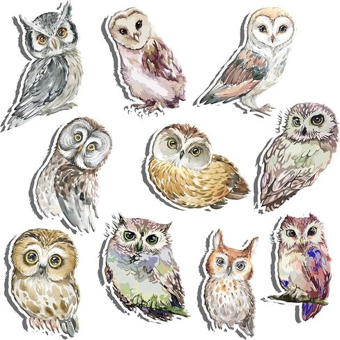 Woodland Owl Cutouts – 10 Pcs Realistic Owl Cardstock Decorations for Baby Shower, Birthday Party, Classroom or Forest Animal Theme Supplies in Saudi Arabia