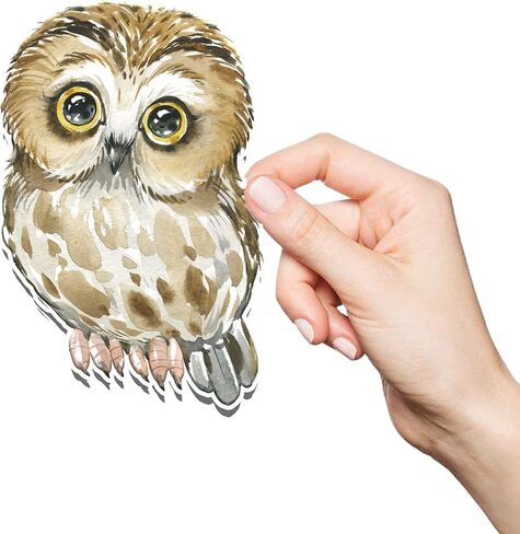 Woodland Owl Cutouts – 10 Pcs Realistic Owl Cardstock Decorations for Baby Shower, Birthday Party, Classroom or Forest Animal Theme Supplies in Saudi Arabia