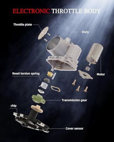 OKLPF Electronic Throttle Body Compatible with 2015-2017 Ford F150 Lobo Mustang 5L V8,2015 2016 2017 2018 2019 F250 F350 2017-2019 E350 Super Duty 6.2L V8,Replace S20238 Throttle Body Assembly in Kuwait