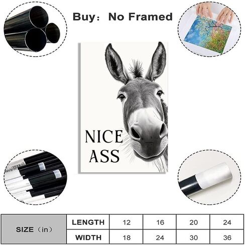DSWEGVR Black and White Donkey Bathroom Wall Art Decor Nice Ass Funny Donkey in Bathroom Picture Poster Fun Animal Canvas Print Farmhouse Humor Wall Decor for Home Washroom Toilet 12x16inch Unframed in Saudi Arabia