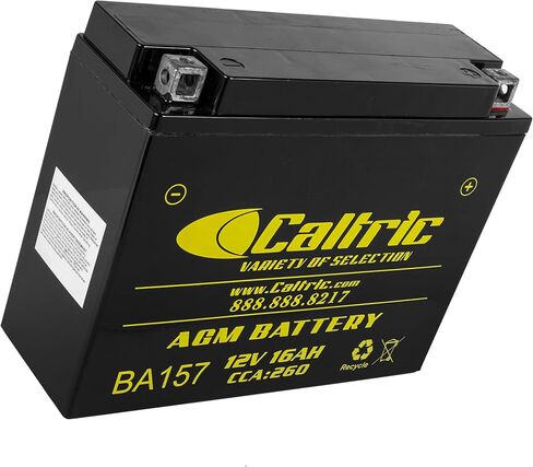 Caltric Agm Battery Compatible with Yamaha Virago 750 Xv750 1981 1982 1983 1988 1989 1990 1991 1992 1993 1994 in Saudi Arabia