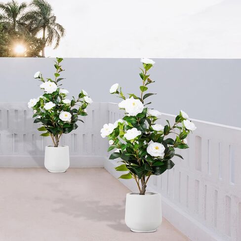 Artificial Camellia Tree 2 Pack, 3FT Faux Camellia Tree with Planter, Fake Plants Potted Camellia with Lifelike Flower for Living Room Office Decor Indoor in Saudi Arabia