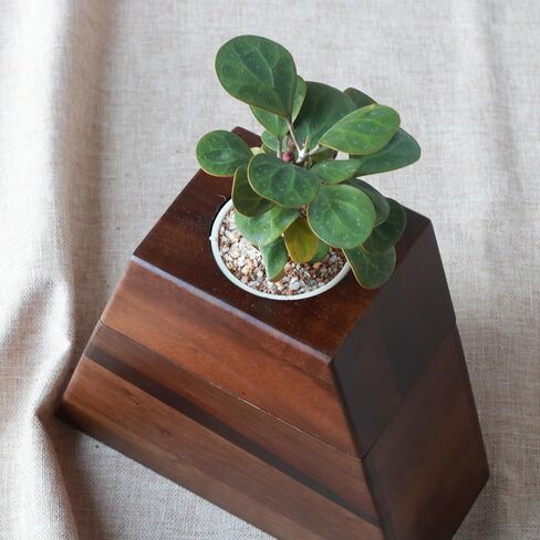 Walnut Wooden Urn for Adult Human Ashes with Removable Planter Lid- Handcrafted Plant Urn for Loved Ones and Beloved Pets, Cremation Wooden Urn by Miaowooy in Saudi Arabia