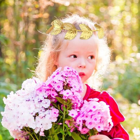 عصابة رأس من أوراق الشجر اليونانية، عصابة رأس من أوراق الغار الروماني، إكليل ذهبي، تاج رأس يوناني، زي الآلهة للنساء والرجال، ملحقات تزيين حفلات الهالوين، عبوة من قطعتين in Kuwait