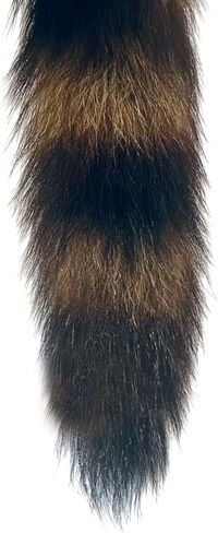 سلسلة مفاتيح ذيل الراكون المنفوش - فراء الراكون الناعم، متين، مثالي للحفلات التنكرية، ومعارض عصر النهضة in Kuwait