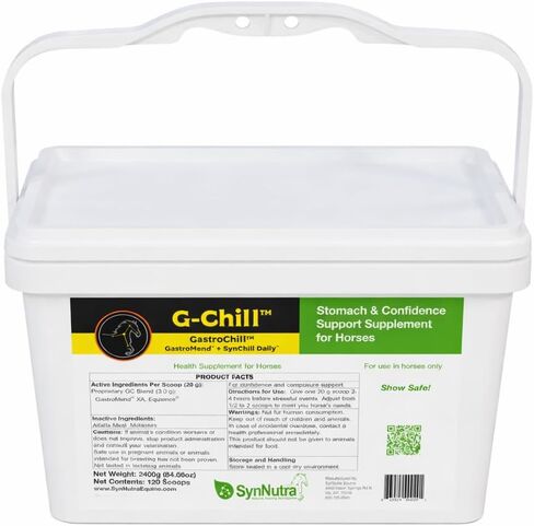 G-Chill All-Natural Digestive Health Support for Horses - 30 servings - Promotes Stomach & Hindgut Health, Aids in Gastric Ulcer Relief, Enhances Collagen & Fibronectin Production for Tissue Repair in Kuwait