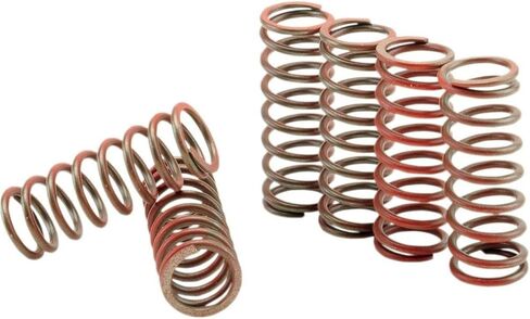 Hinson Clutch Components CS189-6-0613 High Temp Clutch Spring Kit for CRF450R 2017-2019 (STD & 8 PLATE),1 Pack in Saudi Arabia
