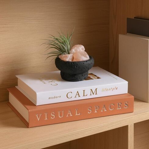 Minimalist Decorative Books for Home Decor - Set of 2 Aesthetic Faux/Fake Book Boxes Enhance Coffee Table, Mantel or Bookshelf Decor, Beautiful Photo Storage & Keepsake Box in Saudi Arabia