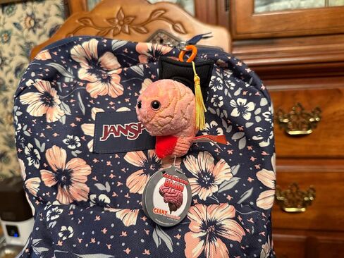 GIANT MICROBES Graduation Brain Organ Plush Keychain, Graduation Plush, Grad Stuffed Animal 2025, Nurse Graduation Gift, Medical School Gifts, Graduation Keychain 2025 in Saudi Arabia