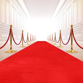 Red Carpet Runner for Party, 3.3x33ft, 250GSM Large Thick Hollywood Red Carpet for Event, Aisle Runner Rug for Wedding Ceremony, Movie Theme Party Decorations, Red Roll Out Runway for Prom