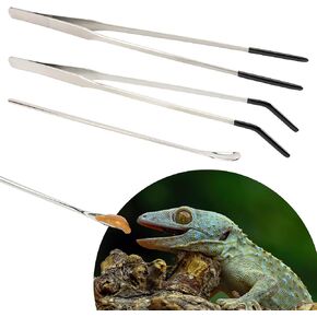 مجموعة أدوات تغذية الزواحف من الفولاذ المقاوم للصدأ مكونة من 3 قطع مع ملقطين مطاطيين وملعقة تغذية أبو بريص متوج، وملحقات خزان أبو بريص المتوج للأبراص والسحالي والتنين الملتحي والحيوانات الصغيرة in Kuwait