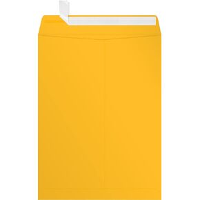LUXPaper 9 x 12 Open End Envelopes | Peel & Press | Sunflower Yellow | 80lb. Text | 50 Qty