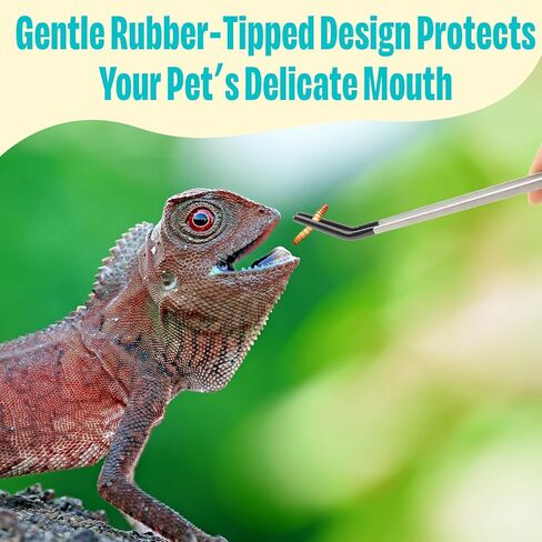 3 Pcs Stainless Steel Reptile Feeding Tool Set with 2 Rubber Tipped Tongs and 1 Crested Gecko Feeding Spoon, Crested Gecko Tank Accessories for Geckos, Lizards, Bearded Dragons, and Small Animals in Kuwait