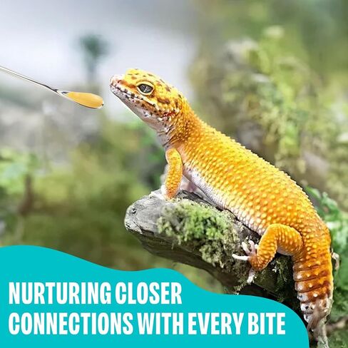 3 Pcs Stainless Steel Reptile Feeding Tool Set with 2 Rubber Tipped Tongs and 1 Crested Gecko Feeding Spoon, Crested Gecko Tank Accessories for Geckos, Lizards, Bearded Dragons, and Small Animals in Kuwait